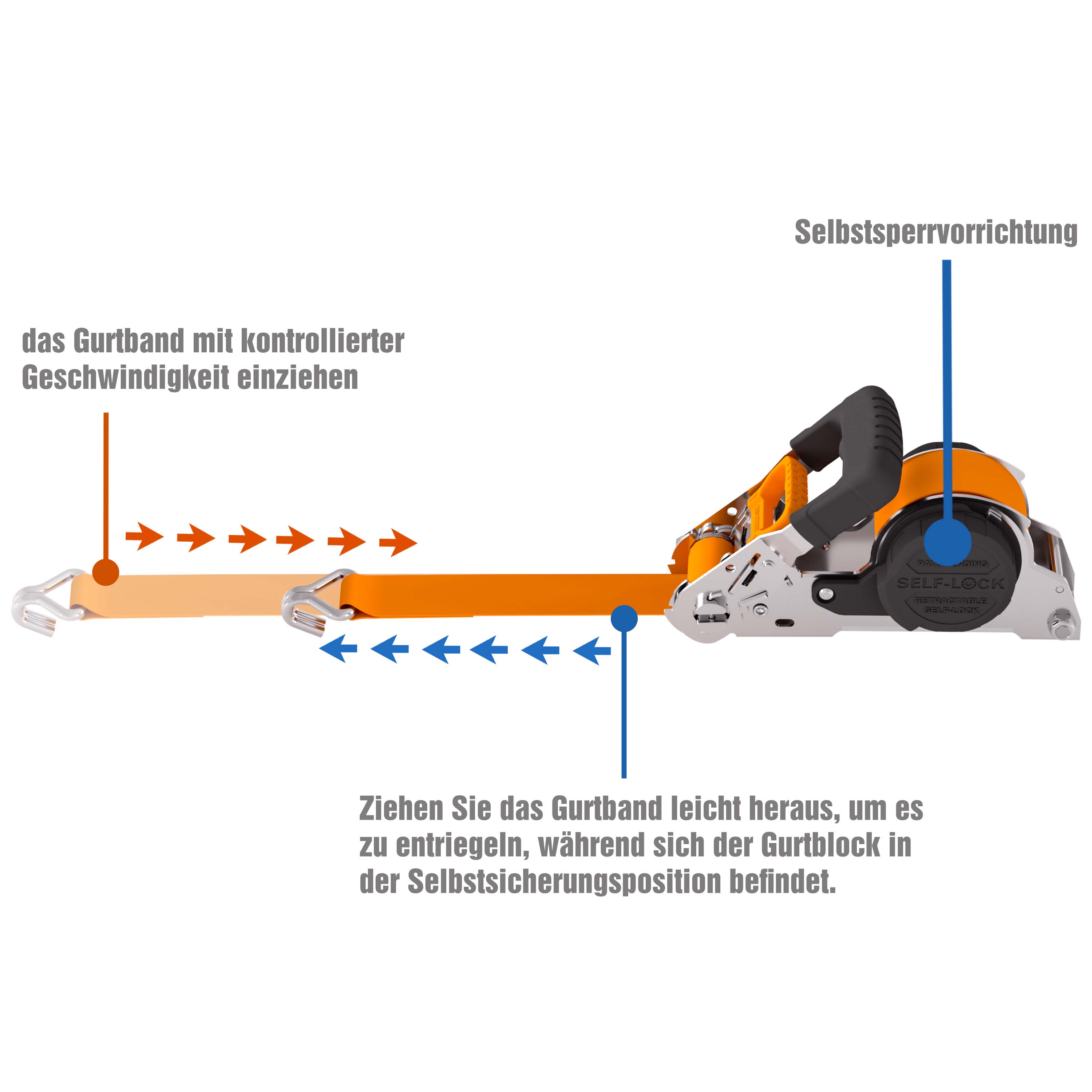 PETEX Automatik-Ratschenspanngurt mit Doppelspitzhaken